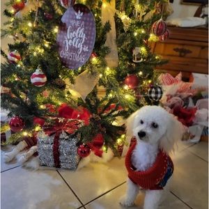 Meet your Posher, Bella